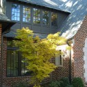 Still Residence